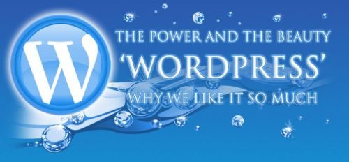 Why WordPress makes a great choice for your website!